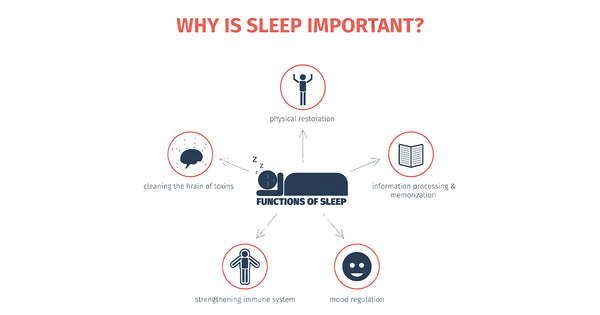 Why Sleep is Important