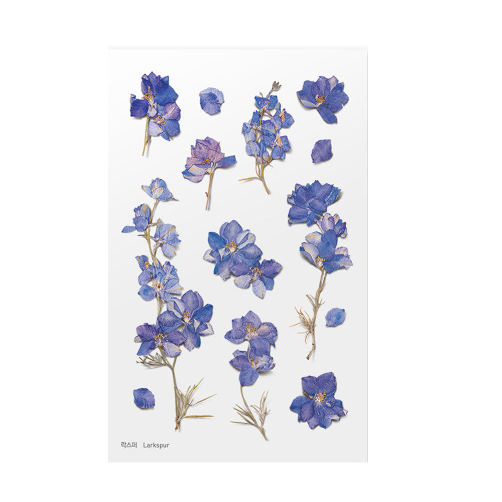 Appree Manchurian violet press flower stickers