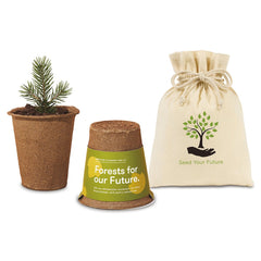 Gemline Spruce Modern Sprout One For One Tree kit