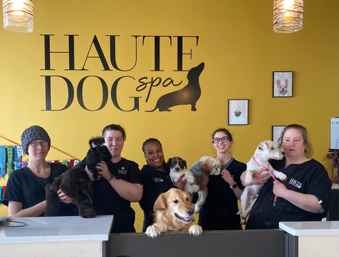 Haute Dog Spa Merch Madness