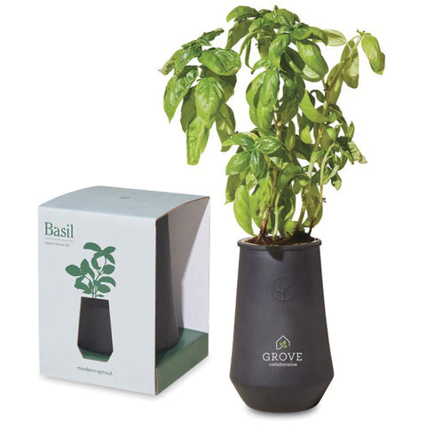 Branded Modern Sprout Black/Basil Tapered Tumbler Grow Kit