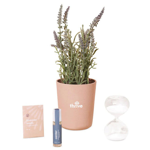 Corporate Modern Sprout Seek Peace Take Care Kit - Lavender