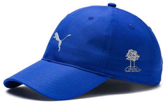 National Park Puma Hat