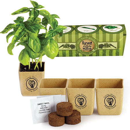 Customized Primeline Tan GrowPot Eco-Planter Herb 3-Pack
