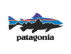 Patagonia Company Logo