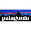 Patagonia Corporate Logo