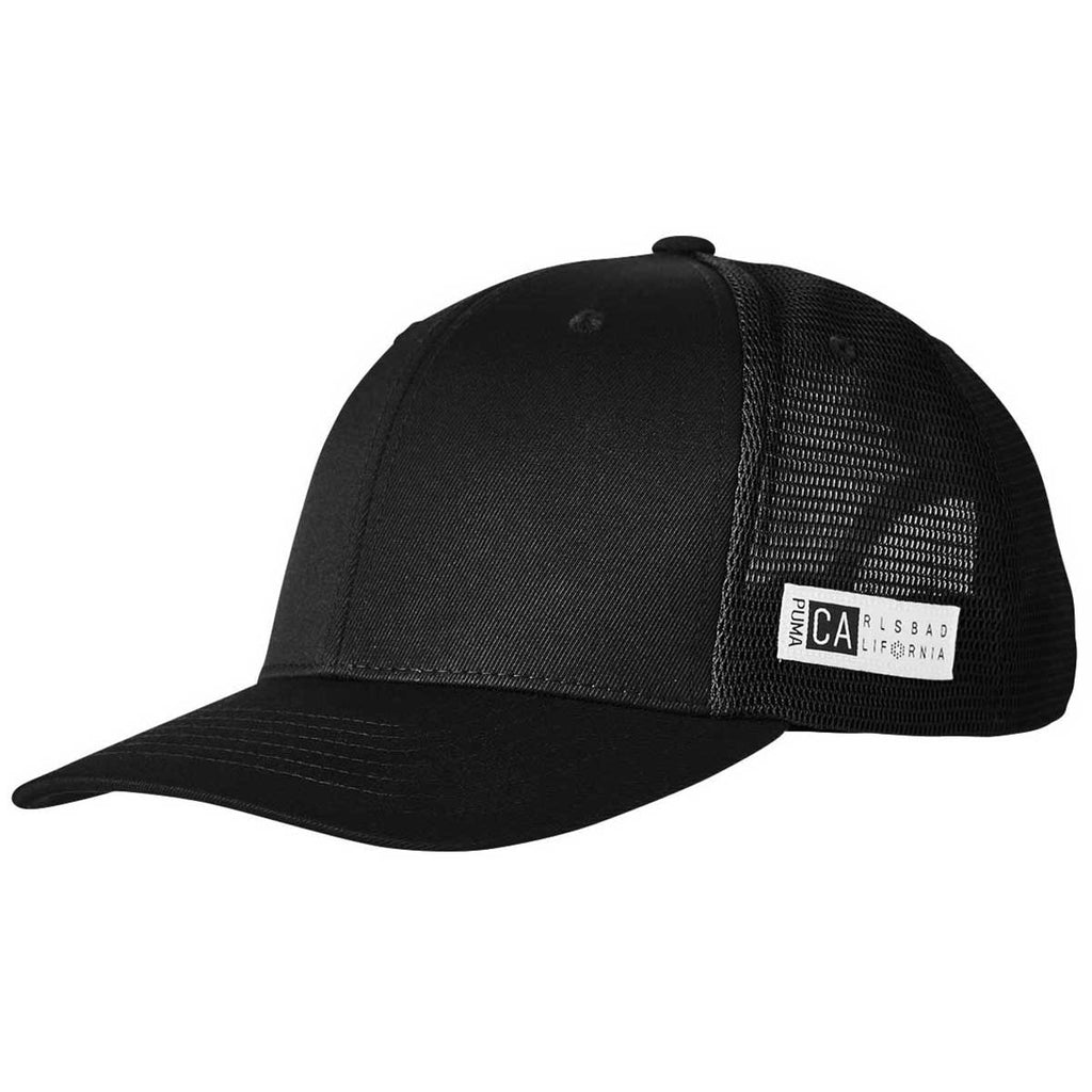 puma dri fit caps