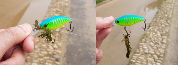 le crankbait comme sondeur des eaux