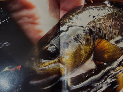 Livre La pêche de la truite aux leurres