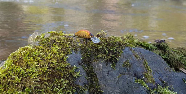 Un poisson nageur coulant