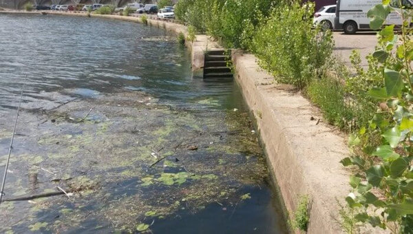 hauteur des quais variable