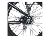 EUNORAU 250W+350W Dual Motor FAT-AWD All Wheel Drive Commuter Electric Fat tire Bike