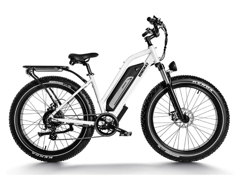 electric fat bike