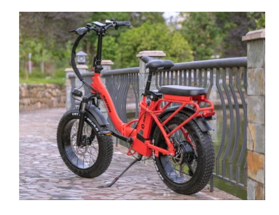 rattan folding ebike