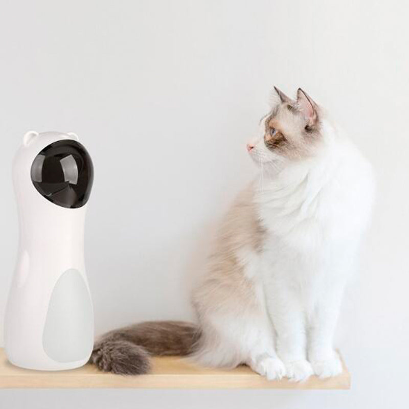 cat laser toy