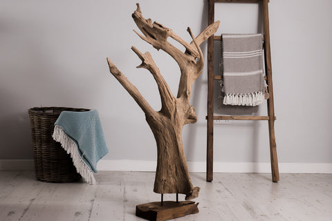 Teak root sculpture