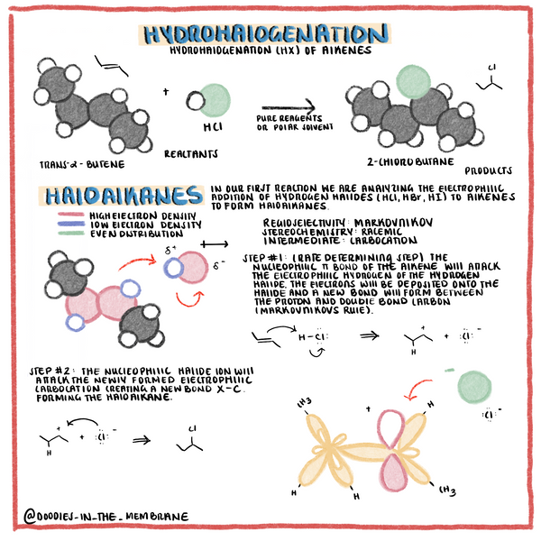 electrophilic-addition-of-alkenes-doodles-in-the-membrane