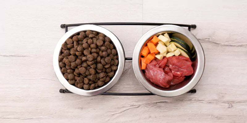 Homemade dog food with raw ingredients.
