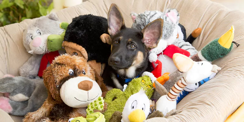 Essential Dog Toys for Your Pup