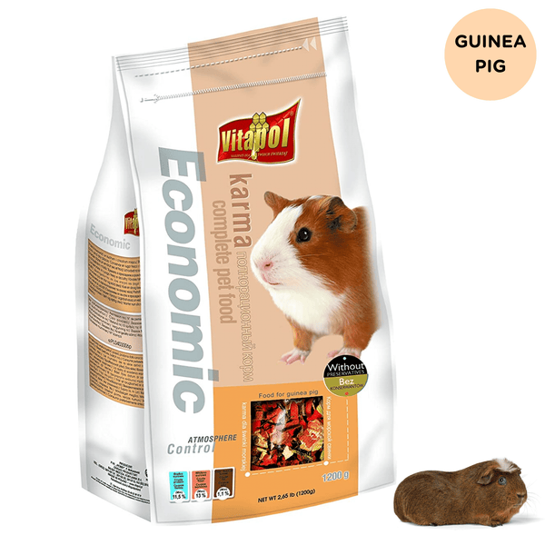 buy guinea pig online