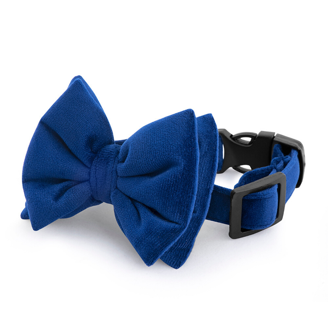 navy blue dog bow tie