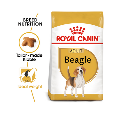 royal canin junior beagle