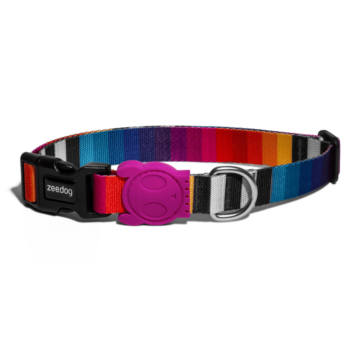 Buy ZeeDog Dog Collar - Prisma at Lowest Prices In India 