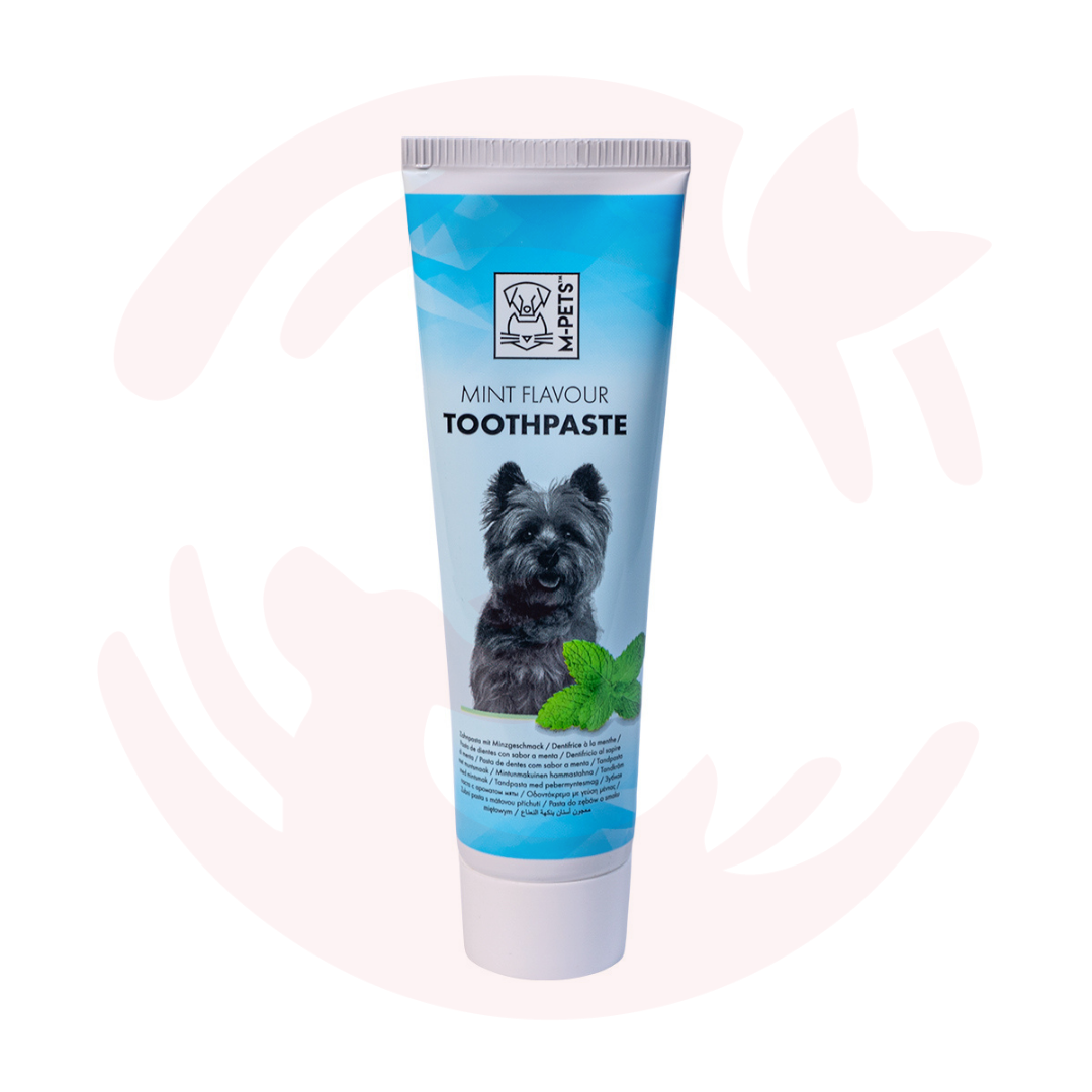 is mint toothpaste bad for dogs