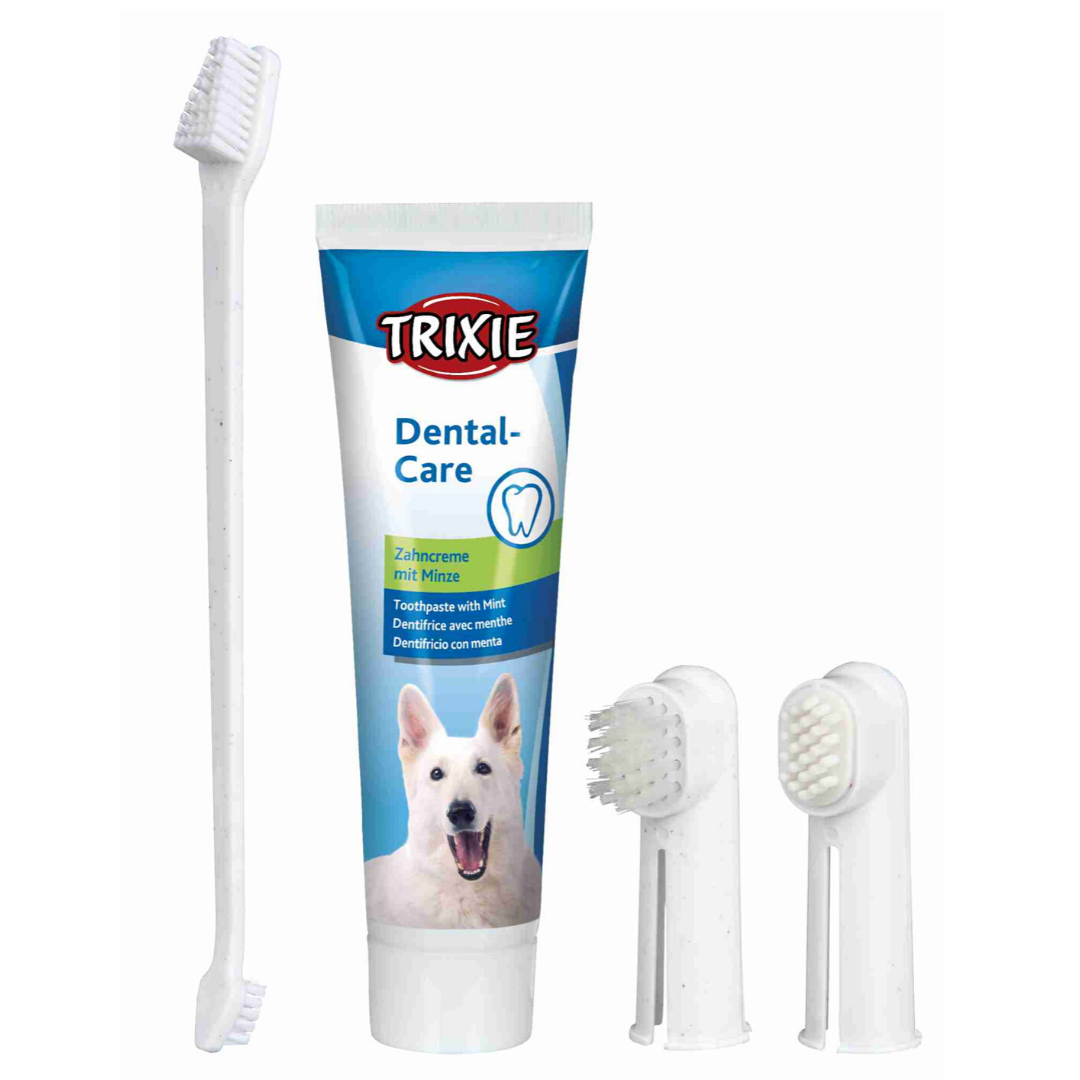 dog dental care products