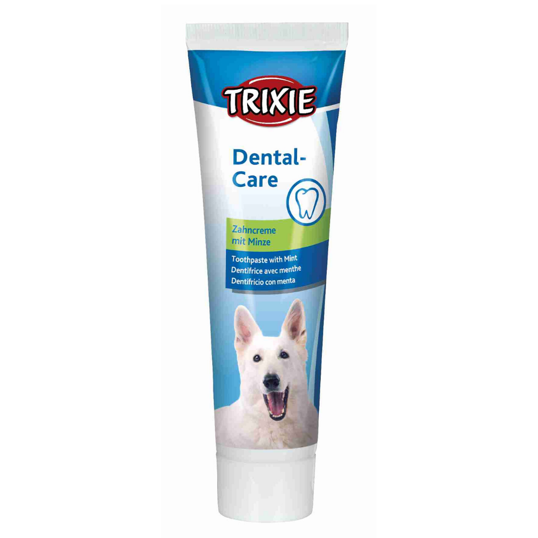 dog toothpaste