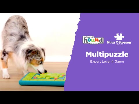 Outward Hound Nina Ottosson Puppy Dog Treat Puzzle-Casino- Level 3