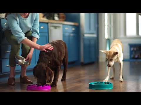 Outward Hound Fun Feeder Interactive Dog Bowl, Teal, Regular Teal