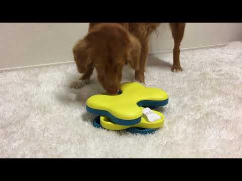 Twister Puzzle Dog Toy // Toy Review (Nina Ottosson) 