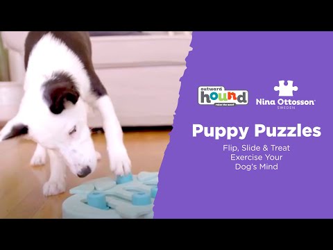 Nina Ottosson by Outward Hound MultiPuzzle Interactive Dog Treat Puzzle  Toy, Expert Level