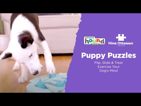 Nina Ottosson Dog Puzzles, Level 1: Beginner Puzzles For Dogs