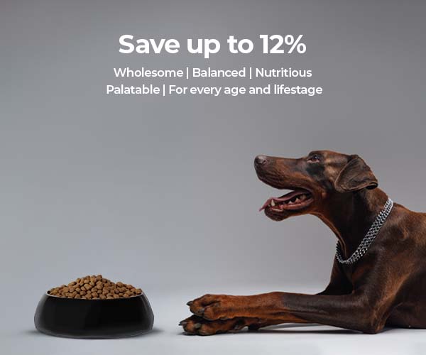 Natural Supplements & Healthcare for Dogs — Wholesome Canine