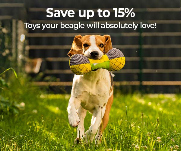 Beagle Toys