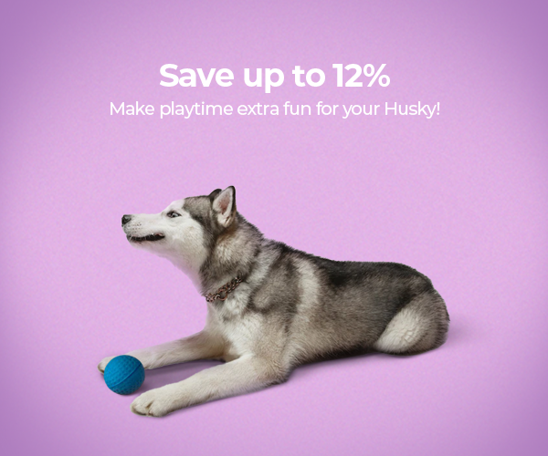 Husky Toys - Engaging Toys for Your Energetic Husky