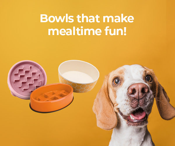 Slow Feeder Dog Bowls for Small Dogs and Cats 3 in 1 Double Dog Food Bowl