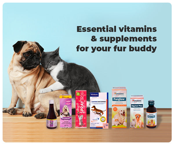 Pet sales supplements online