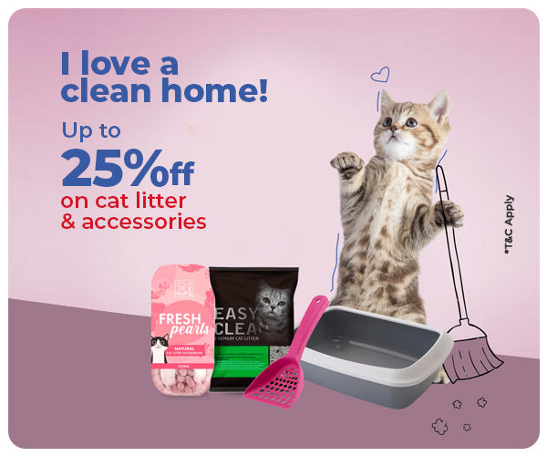 Cat litter shop box accessories