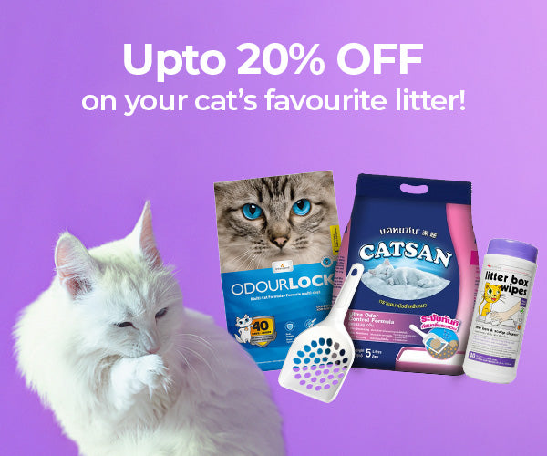 Cat Litter - High-Quality Litter for Cats