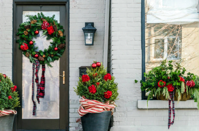 using plants to decorate for christmas