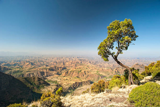 Ethiopian Valley