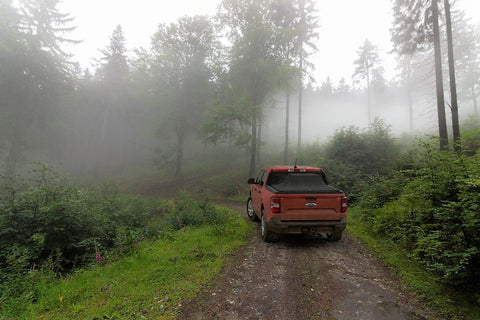 Red Ford Maverick driving through a misty forest
