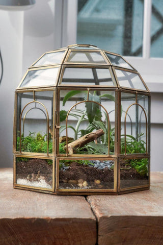 glass birdcage terrarium