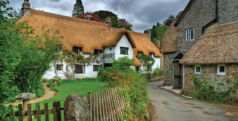 Thatched cottage in Lustleigh village, Devon