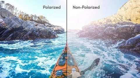 Polarized lens