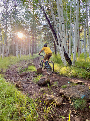 mountain biker riding in the forest
