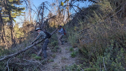 trabuco trail clearing